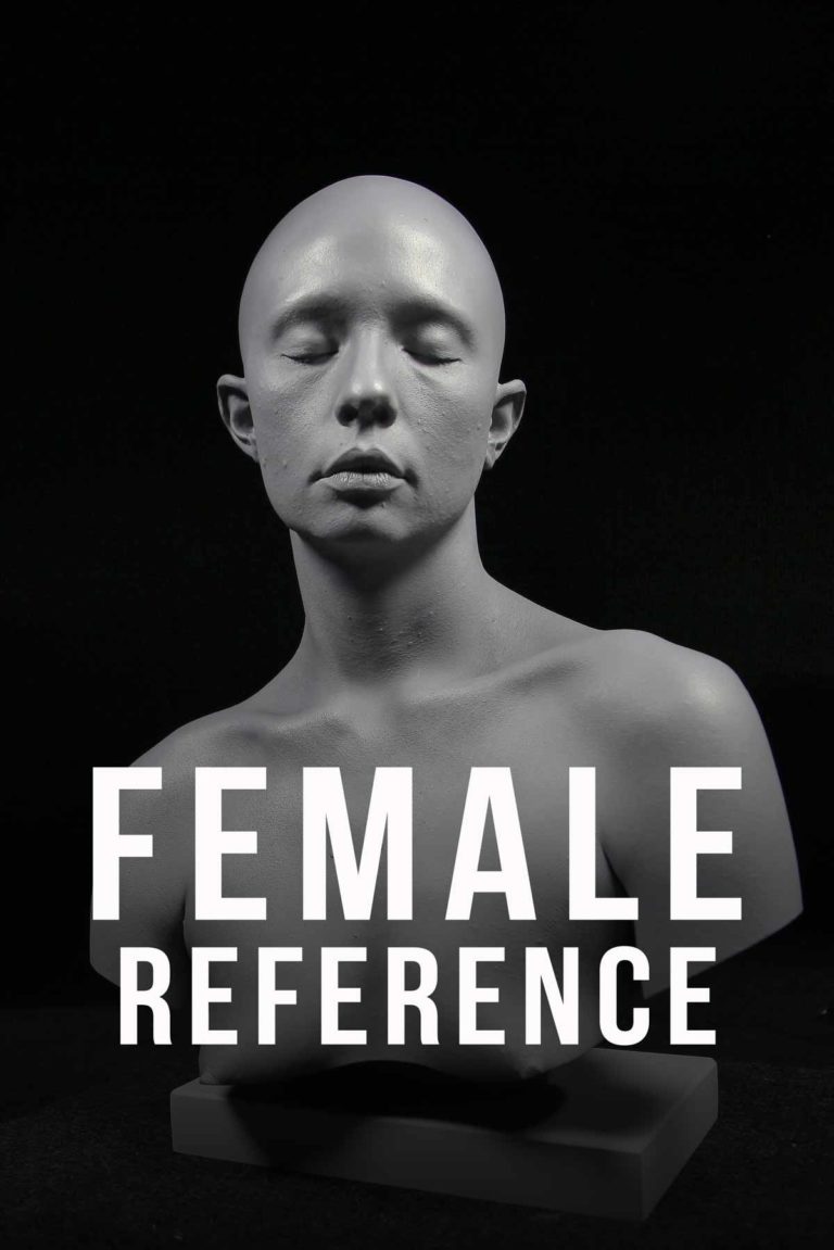 Female Head Reference Sculpture Workshops